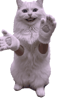 Transparent clapping GIF of a white cat